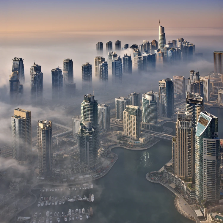 Empowering Business Success Across the UAE